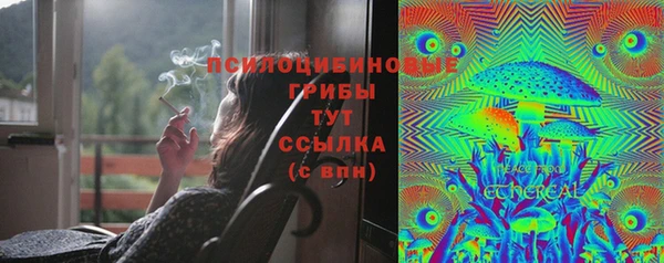молекула духа Краснотурьинск