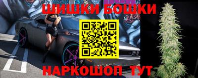 мдпв Бийск