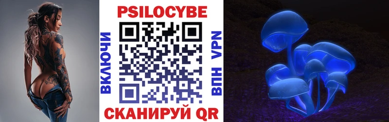 Псилоцибиновые грибы GOLDEN TEACHER Петропавловск-Камчатский