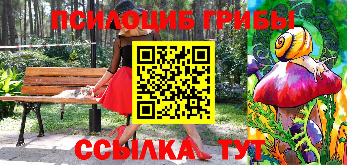 Галлюциногенные грибы Psilocybe  Петропавловск-Камчатский  Псилоцибиновые грибы мицелий 