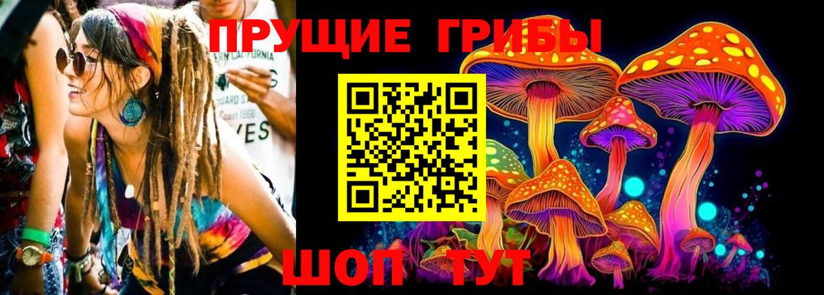 Галлюциногенные грибы Psilocybine cubensis Петропавловск-Камчатский