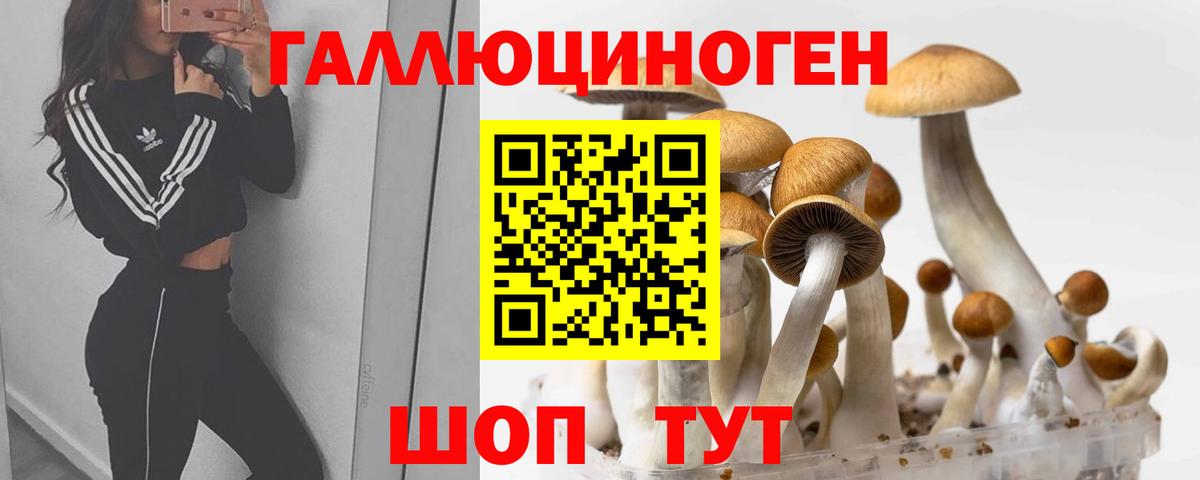 Галлюциногенные грибы ЛСД  Псилоцибиновые грибы Magic Shrooms  Вход с VPN  купить наркотики цена  Петропавловск-Камчатский 